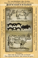 boeuf-boucherie