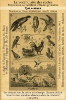 oiseaux